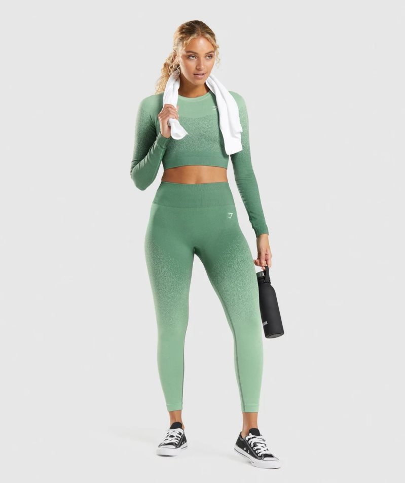 Women's Gymshark Adapt Ombre Seamless Leggings Green | NZ 6VBTLA